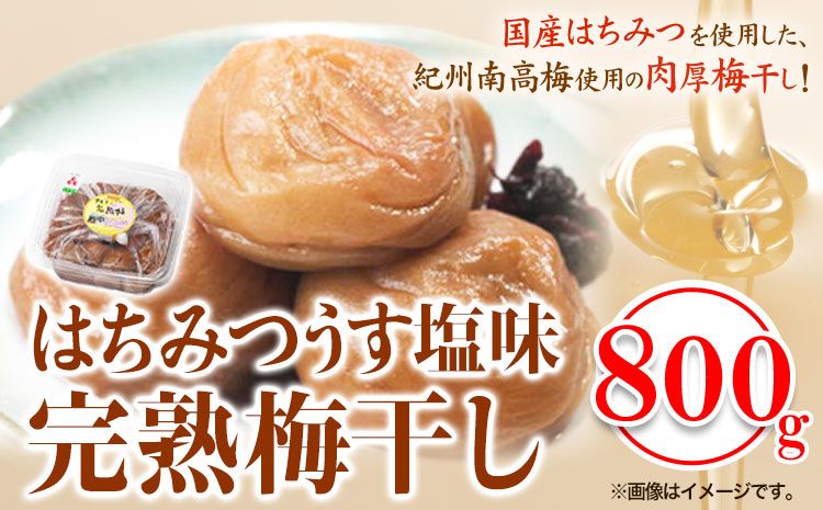 紀州南高梅使用 はちみつうす塩味完熟梅干し 800g 厳選館[90日以内に出荷予定(土日祝除く)]和歌山県 日高町 梅干し はちみつうす塩梅 紀州南高梅 送料無料---wsh_genhuume_90d_22_13000_800g---