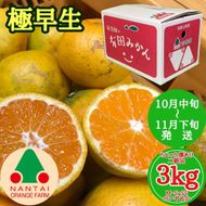 ちょっと 傷あり 極早生 有田 みかん M ～ SS サイズ 3kg 南泰園 和歌山 有田みかん BS617