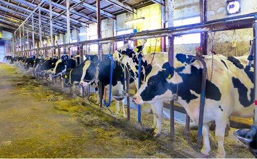 【ミルキークラウン】 バニラ・プレミアム　アイスクリームセット（各5個）計10個【 アイスクリーム アイス ジェラート バニラ 乳製品 デザート お菓子 グルメ お取り寄せ 標茶町 北海道 】　 016641_AK007