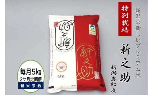 [新米受付・令和7年産米][2ヶ月定期便]食味鑑定士板垣謹製 新潟県岩船産 特別栽培 新之助 5kg×2ヶ月 1039030N|連続 毎月 お届け 新耕農産 一等米 プレミアム米 農家直送 低温倉庫保管
