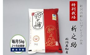 【新米受付・令和7年産米】【2ヶ月定期便】食味鑑定士板垣謹製 新潟県岩船産 特別栽培 新之助 5kg×2ヶ月 1039030N｜連続 毎月 お届け 新耕農産 一等米 プレミアム米 農家直送 低温倉庫保管
