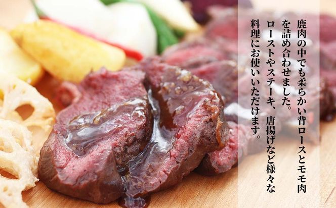 森のジビエ  鹿肉 ブロック おまかせ詰合せ700g以上 A-JJ-A15A