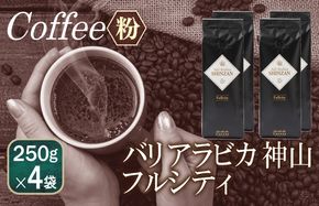 099H1867 バリアラビカ神山フルシティ    250g×4袋／粉 【珈琲 こーひー コーヒー 自家焙煎 オリジナル ギフト キャンプ アウトドア 家計応援】