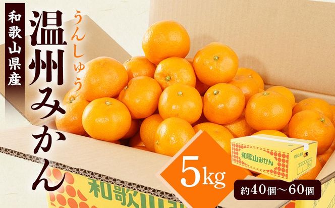 ［先行予約］［2026年11月初旬から11月末頃順次発送］ 和歌山県産温州みかん 約5kg（40個～60個）秀品 こだわり農家厳選！［KG31］ 303446_XM90031