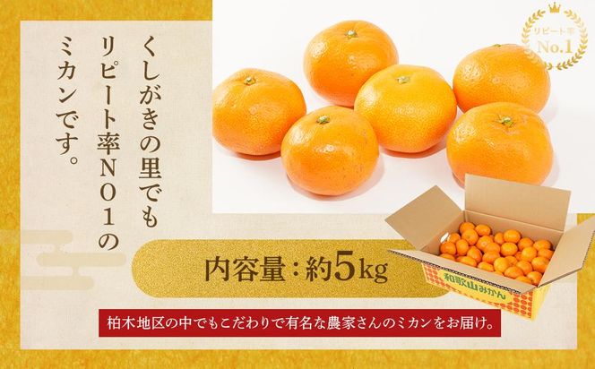 ［先行予約］［2026年11月初旬から11月末頃順次発送］ 和歌山県産温州みかん 約5kg（40個～60個）秀品 こだわり農家厳選！［KG31］ 303446_XM90031