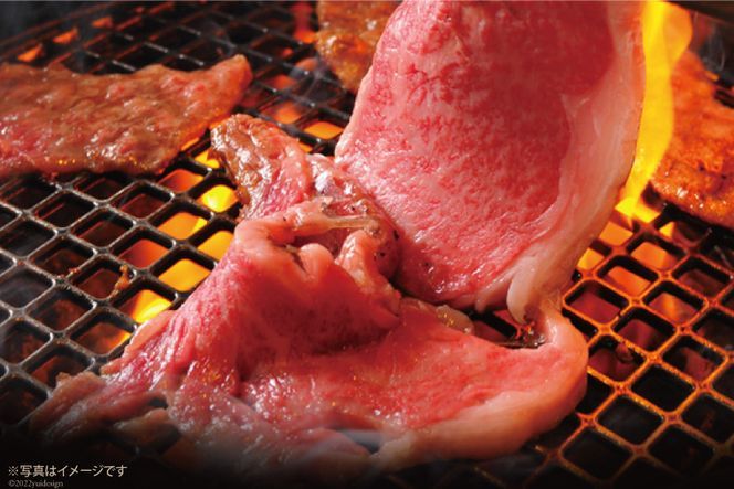 【CF01】AG122長崎和牛 A5ランク 牛ロースステーキ 1.6kg（200g×8枚）