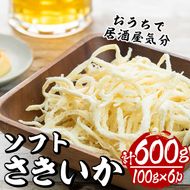 ソフトさきいか(計約600g・100g×6P)干物 おつまみ 珍味 海産物 常温 保存【E-26】【水永水産】