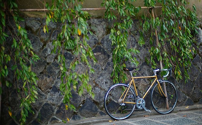 【VIGORE JOURNEY】ビゴーレ自転車レンタルチケット1日分［ 京都 ハイクラス 自転車 ブランド レンタサイクル チケット 人気 おすすめ ロードバイク シティサイクル スポーツ アウトドア ツーリング サイクリング ふるさと納税 ］ 261009_B-QQ17