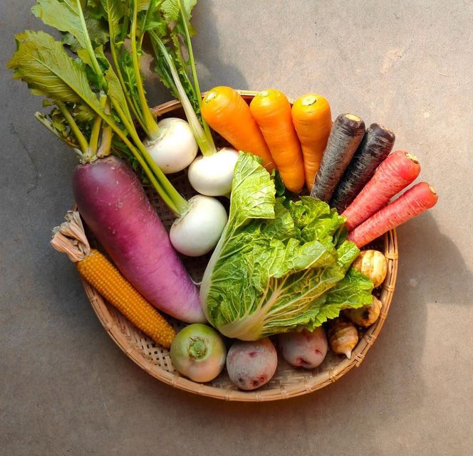 ◆全6回定期便◆【つくだ農園】《有機JAS認証 有機野菜10品入り》京都の棚田大原で心を込めて大切に露地栽培された大地の恵みたっぷりの有機野菜!［ 京都 有機野菜 定期便 セット 人気 おすすめ 有機栽培 おまかせ 詰め合わせ 産地直送 新鮮 ミシュラン お取り寄せ 通販 送料無料 ふるさと納税 ］ 261009_A-FZ003