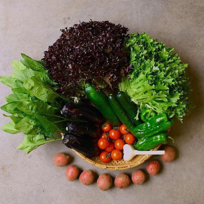 ◆全4回定期便◆【つくだ農園】《有機JAS認証 有機野菜10品入り》京都の棚田大原で心を込めて大切に露地栽培された大地の恵みたっぷりの有機野菜!［ 京都 有機野菜 定期便 セット 人気 おすすめ 有機栽培 おまかせ 詰め合わせ 産地直送 新鮮 ミシュラン お取り寄せ 通販 送料無料 ふるさと納税 ］ 261009_A-FZ004