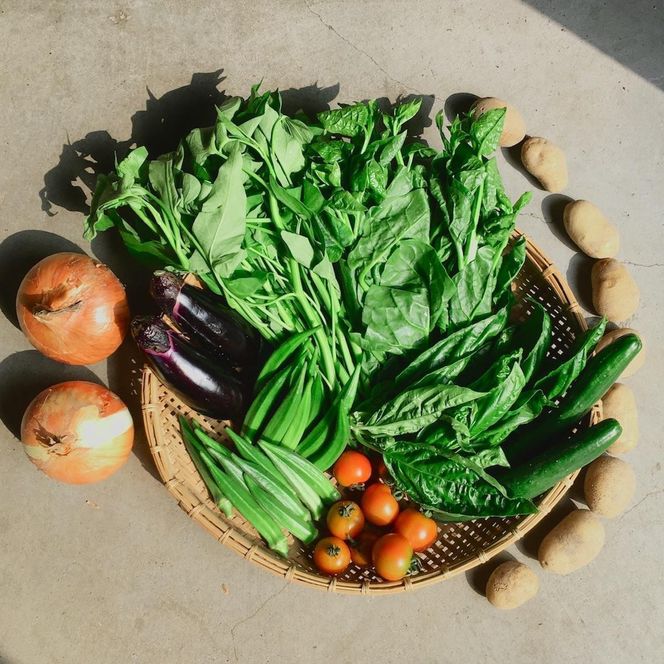 ◆全4回定期便◆【つくだ農園】《有機JAS認証 有機野菜10品入り》京都の棚田大原で心を込めて大切に露地栽培された大地の恵みたっぷりの有機野菜!［ 京都 有機野菜 定期便 セット 人気 おすすめ 有機栽培 おまかせ 詰め合わせ 産地直送 新鮮 ミシュラン お取り寄せ 通販 送料無料 ふるさと納税 ］ 261009_A-FZ004