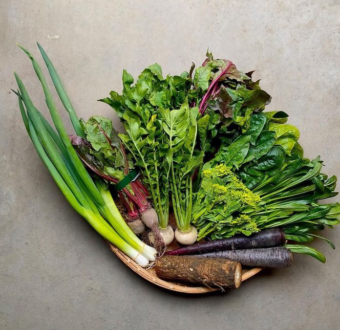 ◆全4回定期便◆【つくだ農園】《有機JAS認証 有機野菜10品入り》京都の棚田大原で心を込めて大切に露地栽培された大地の恵みたっぷりの有機野菜!［ 京都 有機野菜 定期便 セット 人気 おすすめ 有機栽培 おまかせ 詰め合わせ 産地直送 新鮮 ミシュラン お取り寄せ 通販 送料無料 ふるさと納税 ］ 261009_A-FZ004