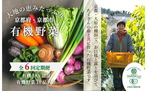 ◆全6回定期便◆【つくだ農園】《有機JAS認証 有機野菜10品入り》京都の棚田大原で心を込めて大切に露地栽培された大地の恵みたっぷりの有機野菜!［ 京都 有機野菜 定期便 セット 人気 おすすめ 有機栽培 おまかせ 詰め合わせ 産地直送 新鮮 ミシュラン お取り寄せ 通販 送料無料 ふるさと納税 ］ 261009_A-FZ003