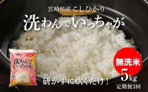 無洗米コシヒカリ 洗わんでいっちゃが５㎏✕３回定期便 計15㎏ K23_T006_1