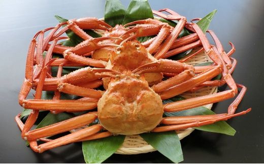 【冷蔵・ボイル済】魚卸問屋のベニズワイガニ 700～800g級×3杯｜魚貝類 魚介類 海鮮 はりたや ずわい蟹 ずわいガニ 紅ズワイガニ 大きめ セット 濃厚かにみそ 蟹しゃぶ 蟹飯 人気 豪華 お取り寄せ 北陸 富山県 富山湾 魚津市 送料無料 ※2025年9月下旬～2026年5月下旬頃に順次発送予定 ※北海道・沖縄・離島への配送不可