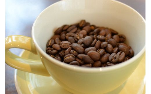 【コーヒー豆定期便】珈琲豆 200g×2銘柄 6ヶ月（豆のまま） 272230_BD012