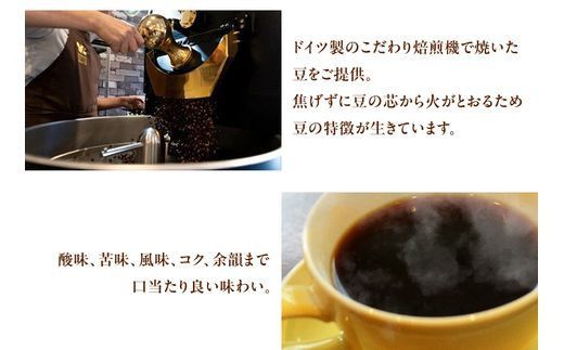 【コーヒー豆定期便】珈琲豆 200g×2銘柄 12ヶ月（豆のまま） 272230_BD014
