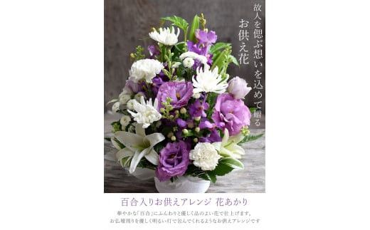 フラワーアレンジメント 花あかり　白ムラサキ【フラワー　アレンジメント　お供え 花 フラワー アレンジメント 供花 命日 法事　ふんわりと優しく品のよい花 大阪府 門真市 】 272230_BG001VC01