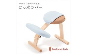 バランスイージー専用はっ水カバー（スカイブルー）ドットワッフル【 バランスイージー カバー 大阪府 門真市 】 272230_CM001VC08