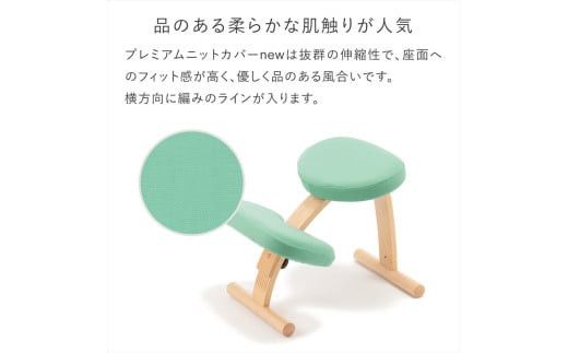 バランスイージー専用プレミアムニットカバーnew（ネイビー）はっ水加工【 バランスイージー カバー 大阪府 門真市 】 272230_CM005VC04