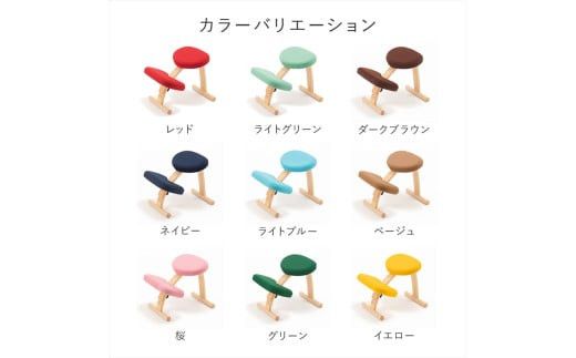 バランスイージー専用プレミアムニットカバーnew（ネイビー）はっ水加工【 バランスイージー カバー 大阪府 門真市 】 272230_CM005VC04