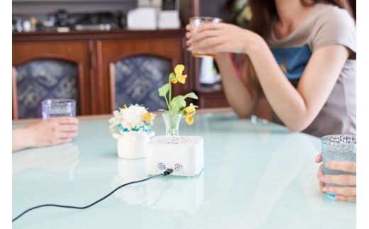 紫外線LED空気清浄機　KOROSUKE Petit（ホワイト） 【脱臭 消臭 光触媒フィルター 卓上 コンパクト 除菌【活性酸素 有害物質を分解 光触媒フィルター ンテナンスフリー コンパクトサイズ 大阪府 門真市 】 272230_AV003VC04