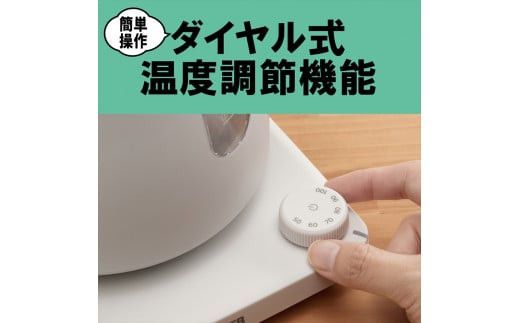 タイガー魔法瓶 温度調節機能つき蒸気レス電気ケトル PTV-A120WG グレイッシュホワイト 1.2L【 電気ケトル 電化製品 家電 コンパクト シンプル 安心 安全 タイガーケトル 大阪府 門真市 】 272230_AZ004VC02