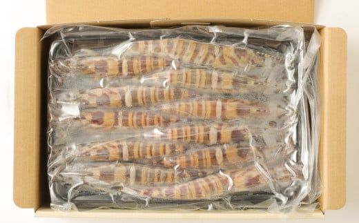 ｢極｣ 原点の車海老 ｢急速冷凍｣ 900g (22～25尾) 特大サイズ【2025年11月下旬より順次発送予定】