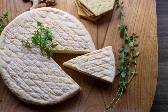 北海道標茶町　長坂牧場チーズ工房　ウォッシュチーズ このみ 1ホール500g前後【 ナチュラルチーズ 乳製品 発酵 熟成 グルメ ギフト お取り寄せ 標茶町 北海道 】 016641_AG011