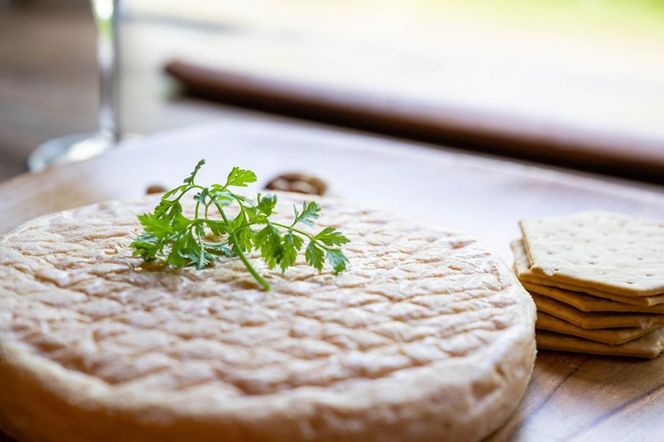 北海道標茶町　長坂牧場チーズ工房　ウォッシュチーズ このみ 1ホール500g前後【 ナチュラルチーズ 乳製品 発酵 熟成 グルメ ギフト お取り寄せ 標茶町 北海道 】 016641_AG011