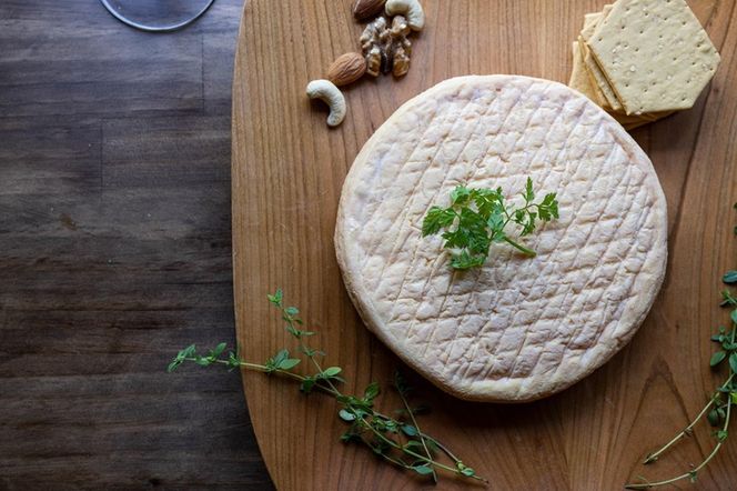 北海道標茶町　長坂牧場チーズ工房　ウォッシュチーズ このみ 1ホール500g前後【 ナチュラルチーズ 乳製品 発酵 熟成 グルメ ギフト お取り寄せ 標茶町 北海道 】 016641_AG011