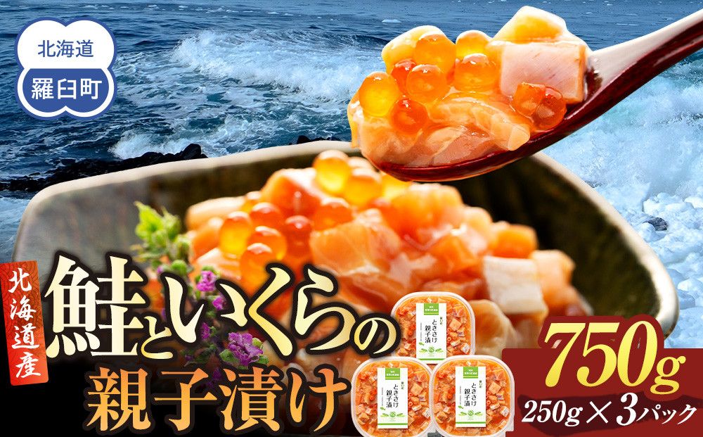 [2026年2月発送]北海道産 鮭といくらの親子漬け 750g (250g × 3パック) 小分け 国産 北海道 羅臼 サケ さけ シャケ しゃけ イクラ 魚卵 鮭卵 醤油漬け しょうゆ漬け 親子丼 海鮮丼 ご飯のお供 おかず おつまみ 一人暮らし おすそわけ 魚介類 生産者 支援 応援 016942_AA008VC02