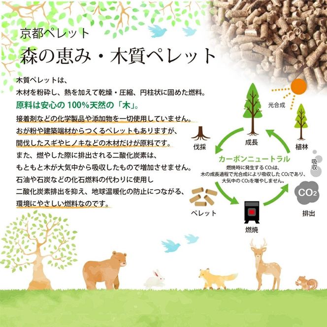【森の力京都】キャンプ用燃料 たっぷり5kg 木質ペレット［ 京都 京都産スギ100％ 国産 アウトドア キャンプ 京都ペレット 全木 無添加 間伐材 天然素材 ペレットストーブ燃料 人気 おすすめ 通販 送料無料 ふるさと納税 ］ 261009_B-SW04