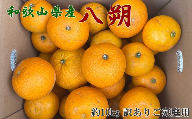 ya̎R쒬zmI 󂠂na̎R RǒY  10kg TCY ƒp mTM205n 303446_XH92258