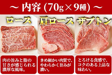 ＜宮崎牛焼肉9種盛（約630g）＞翌月末迄に順次出荷【b0479_em】