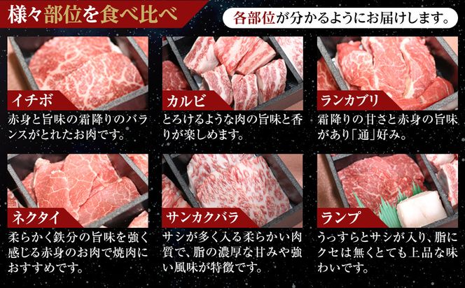 焼肉 北海道産 星空の黒牛 厳選6種 食べ比べ 約650g【 肉 にく ニク 牛肉 牛肉赤身 赤身 牛肉セット バーベキュー 冷凍牛肉 贅沢牛肉 国産牛肉 北海道産牛肉 道産牛肉 簡単 お手軽 特製牛肉 標茶町 北海道 】 ● 016641_AD032