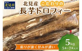 【予約：2024年11月下旬から順次発送】北見産 こだわりの長芋トロフィー 5kg箱 ( 長いも ながいも 野菜 数量限定 期間限定 5キロ )【169-0001】