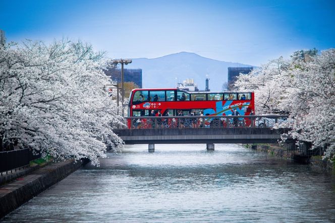 「乗り降り自由！京都の主要な観光地を巡る周遊パス」スカイホップバス（Sky Hop Bus）小人1日券 261009_A-AA499