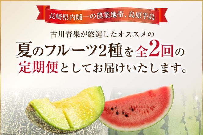【CF01】AG131【令和8年度出荷分】 全2回 厳選！夏の人気フルーツ定期便