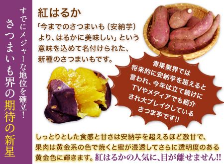 紅はるか 約5kg《30日以内に出荷予定(土日祝除く)》熊本県 御船町 秋 旬 野菜 有限会社ニシムラ---mifune_nsm_3_5kg---