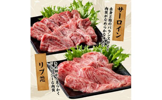 宮崎牛 焼肉 食べ比べ 6種盛 600g【 肉 牛肉 国産 宮崎県産 黒毛和牛 和牛 焼肉 バーベキュー 】[D11417]