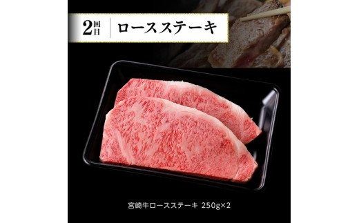 【定期便】宮崎牛６ヶ月定期便A【肉 牛肉 国産 黒毛和牛 肉質等級4等級以上 4等級 5等級 ミヤチク ステーキ 焼肉 全６回 定期便 】[D00682t6]