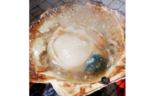 オホーツク漁師直送 殻付き 極上プレミアムホタテ 3.5kg ( 魚介 海鮮 貝 ホタテ ほたて 帆立 生食 炙り焼き バター焼き )【197-0001】