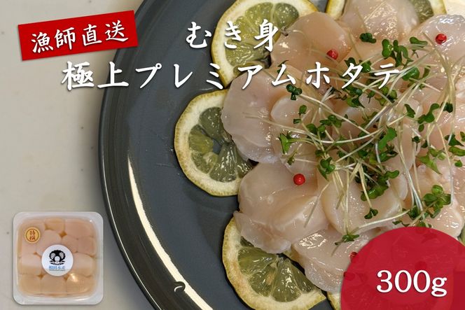 ykCkszIz[cNt ނg ɏv~Az^e 300g ( z^e ق   CN L H o^[Ă )y197-0002z