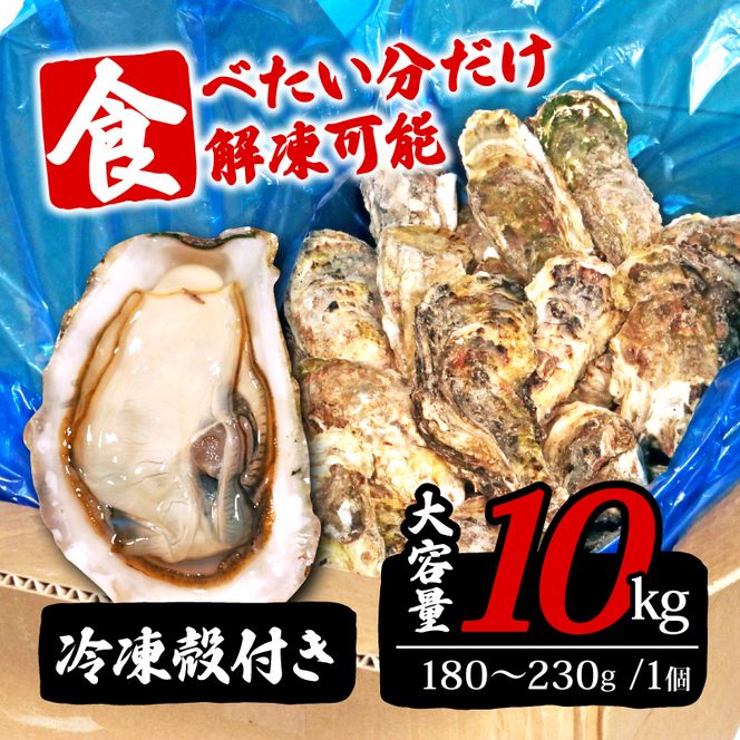 岩手県産冷凍殻付き牡蠣（生食可）10kg(180～230g）殻付 殻付き 生食 冷凍 殻付き 生食用 三陸 三陸産 大船渡 [koku005_180]