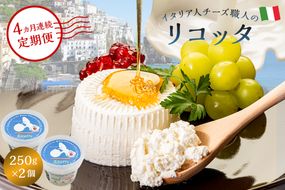 【定期便】リコッタ Ricotta 250g 2個セット(4カ月連続お届け) 【0073-049】