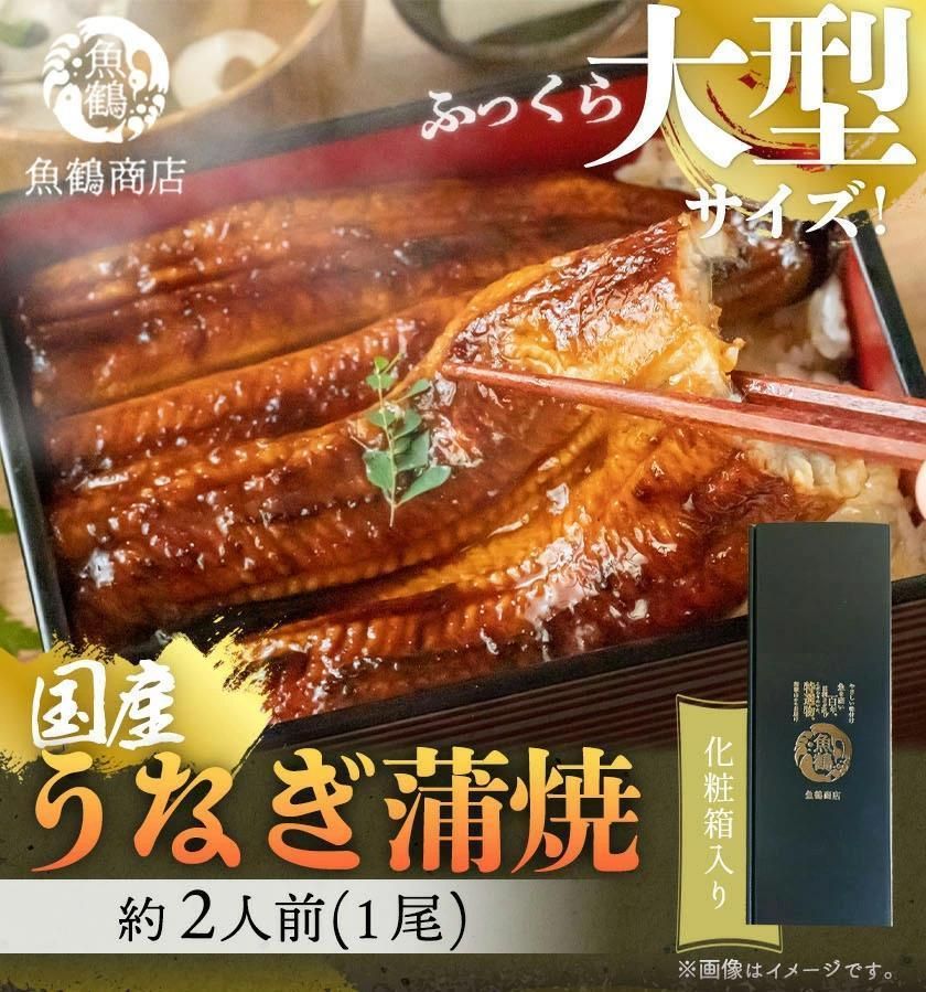 大型サイズ ふっくら柔らか 国産うなぎ蒲焼き 1尾(約2人前)化粧箱入[夏土用の丑の日のうなぎ][7月19日までにお届け][UT04] 303446_XF91092-GFT