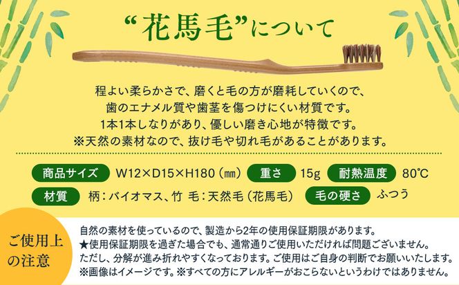 MEGURU 竹の歯ブラシ 花馬毛 4本セット 242161_BP011