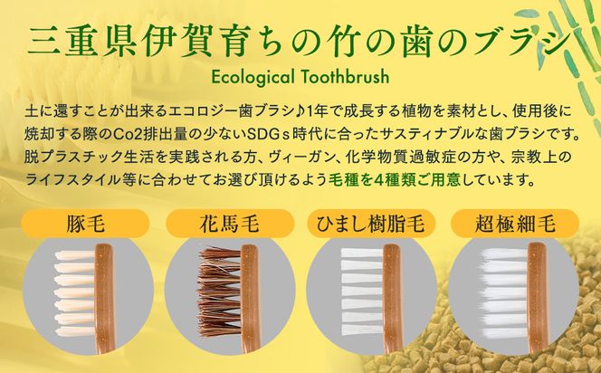 MEGURU 竹の歯ブラシ ひまし樹脂毛 4本セット 242161_BP012