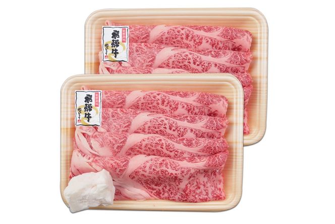 【7営業日以内発送】飛騨牛　肩ローススライス（すき焼き・しゃぶしゃぶ用）500g（250g×2）　【0016-111】